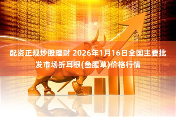配资正规炒股理财 2026年1月16日全国主要批发市场折耳根(鱼腥草)价格行情